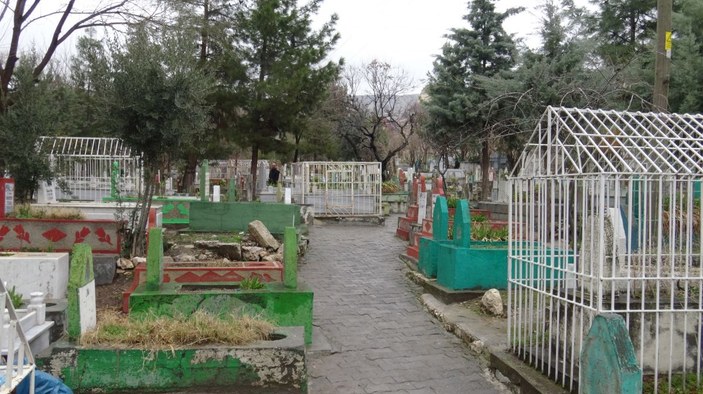 Moğolları ilk kez durduran Harzemşah'ın mezarı, Silvan'daymış -8