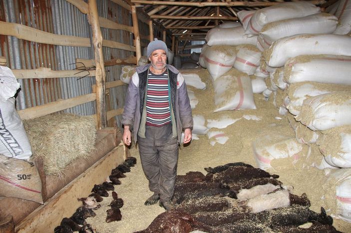 95 kuzusu öldü, 'Yanlış şurup verildi' dedi -3