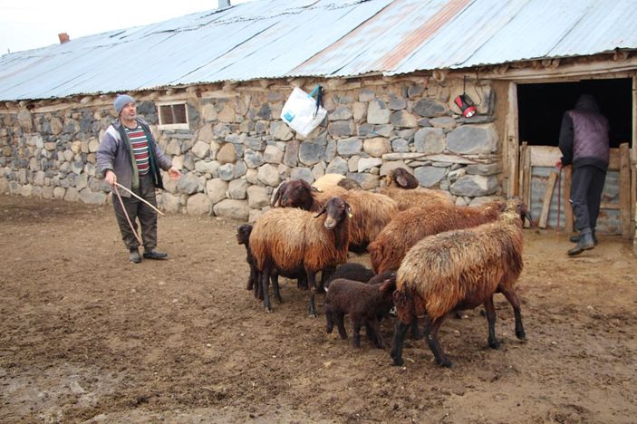 95 kuzusu öldü, 'Yanlış şurup verildi' dedi -5