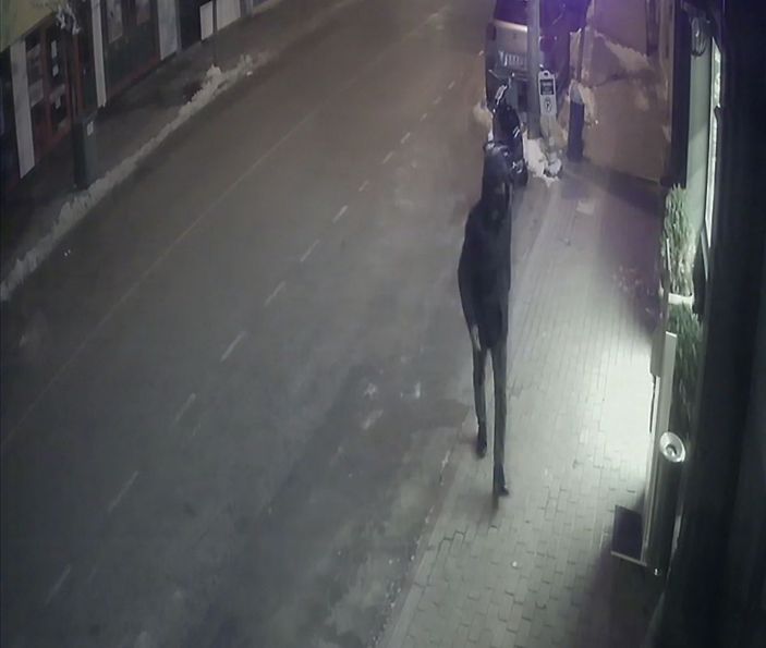 Fırındaki sadaka kutusunu çalan şüpheli, kameralara yakalandı -3