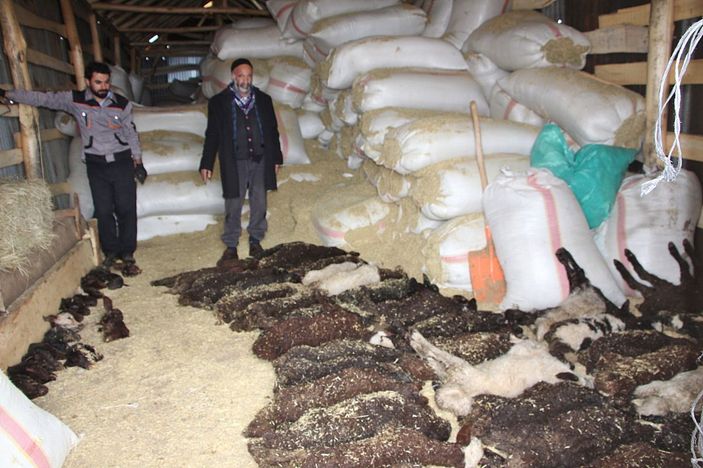 95 kuzusu öldü, 'Yanlış şurup verildi' dedi -4