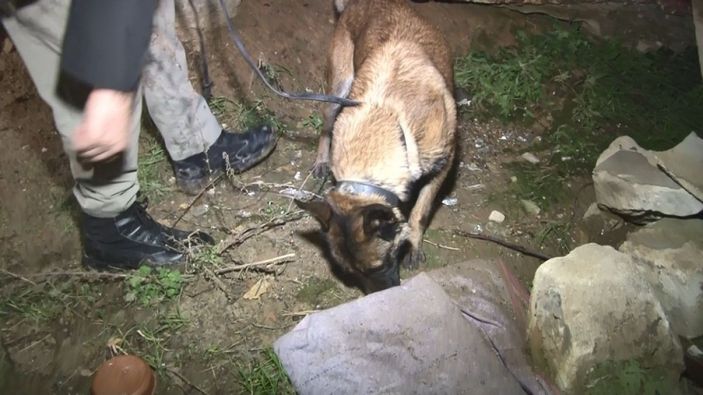 İstanbul merkezli 4 ilde uyuşturucu operasyonu: Çok sayıda şüpheli gözaltına alındı -4