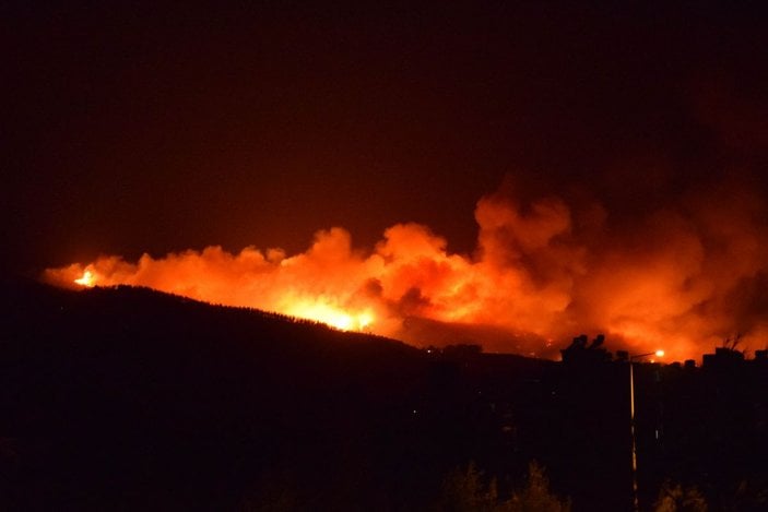 2020 yılında Türkiye'deki orman yangınlarının maliyeti