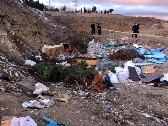 Ankara'da molozların arasında 20 ölü köpek bulundu -5