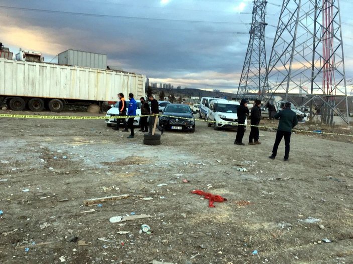 Ankara'da molozların arasında 20 ölü köpek bulundu -3