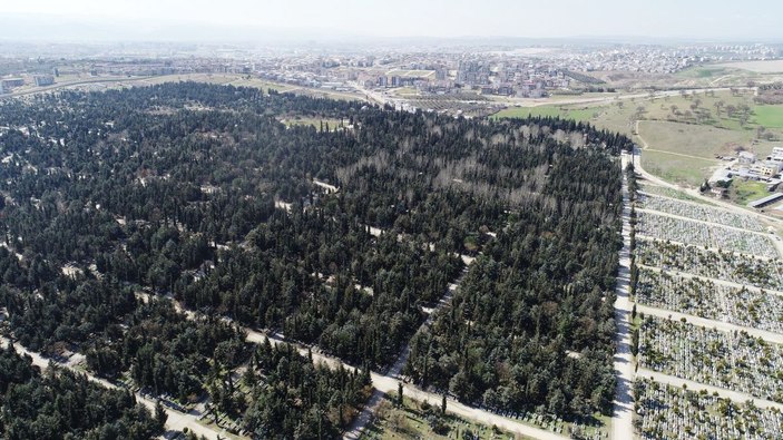 Hamitler Kent Mezarlığı