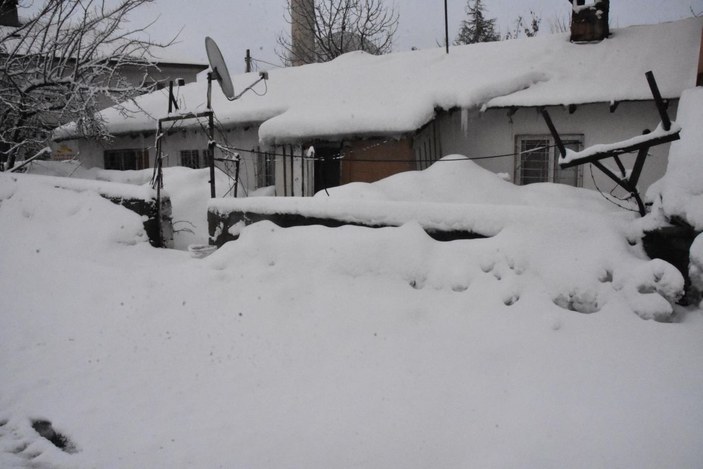Bitlis’te mart karı; 25 köy yolu kapandı -5