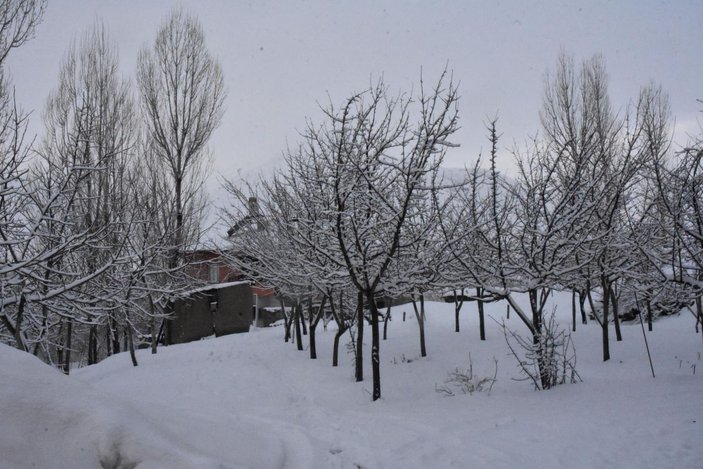 Bitlis’te mart karı; 25 köy yolu kapandı -8