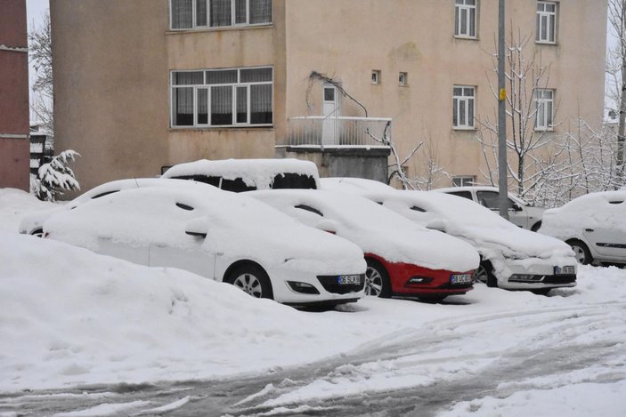 Bitlis’te mart karı; 25 köy yolu kapandı -1