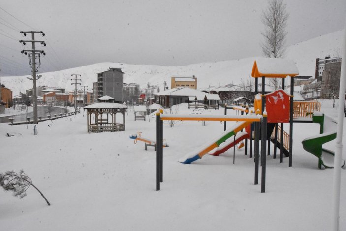 Bitlis’te mart karı; 25 köy yolu kapandı -4