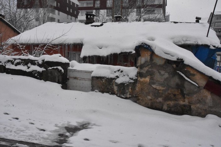 Bitlis’te mart karı; 25 köy yolu kapandı -10