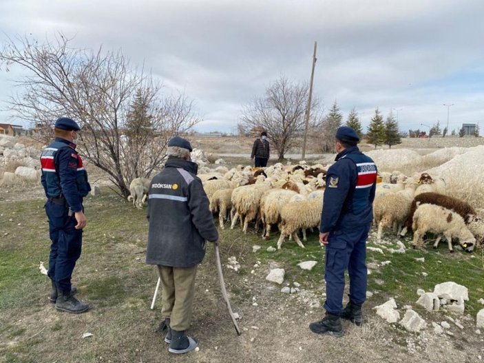Kayıp koyunları jandarma ekipleri drone ile buldu -1