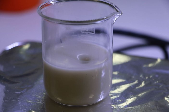 Samsun'da kenevirden süt üretildi