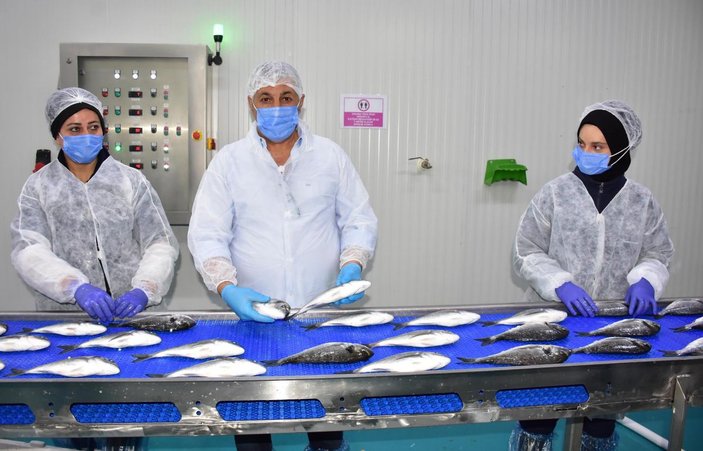 Avrupa pandemide Türkiye'den balık yedi -2