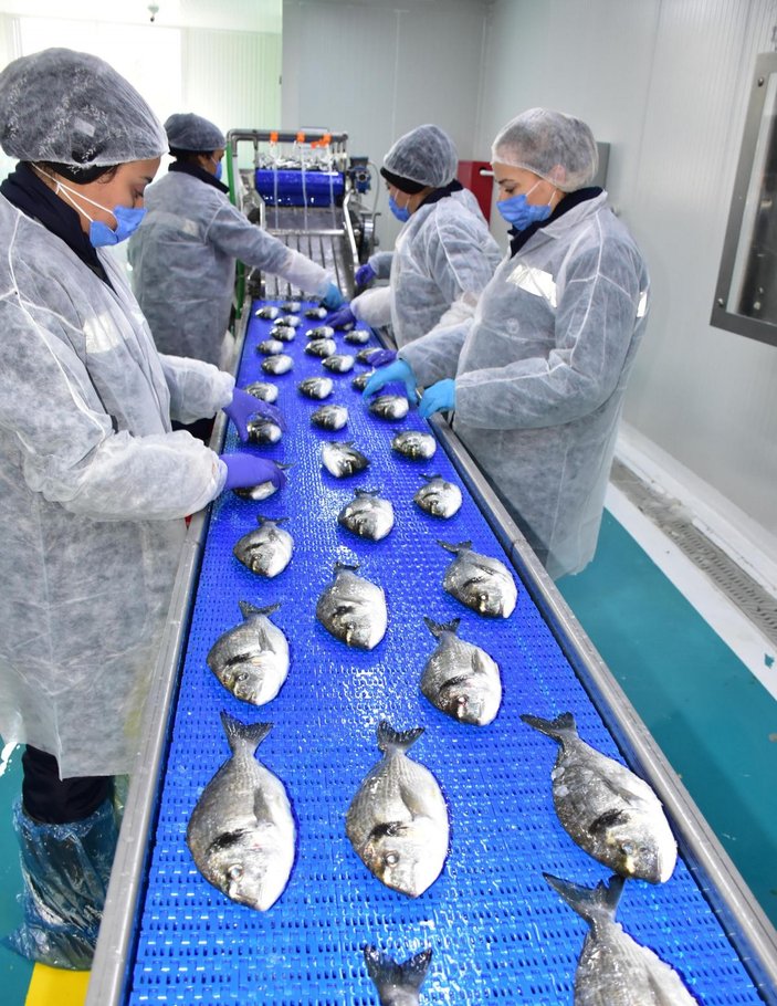 Avrupa pandemide Türkiye'den balık yedi -8