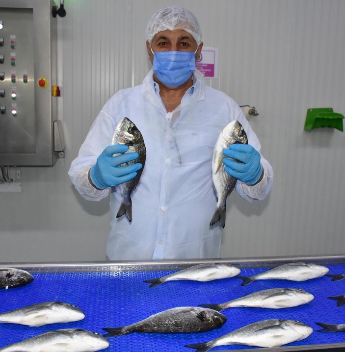 Avrupa pandemide Türkiye'den balık yedi -1