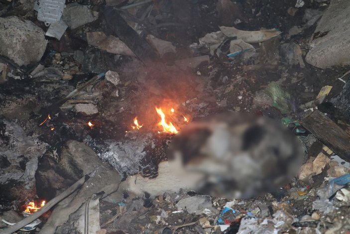 Ankara'da, çöplükte yanmış köpek ölüsü bulundu -4