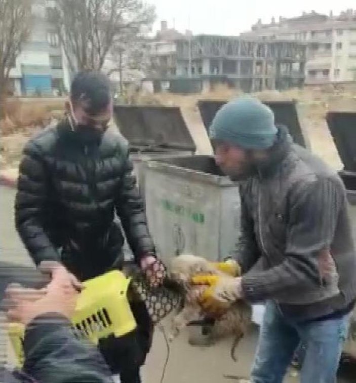 Konya'da rögara düşen yavru köpeği kurtarma operasyonu
