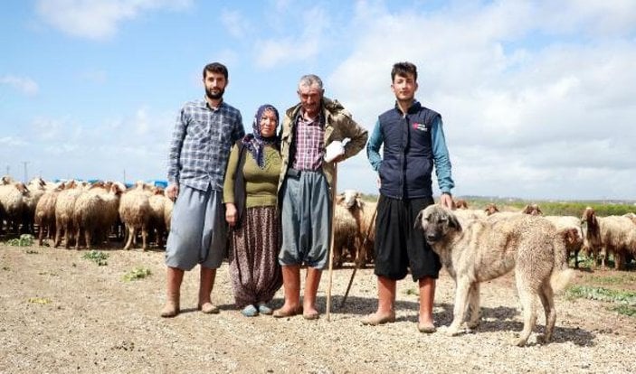 Baba mesleği hayvancılığa devam eden İpek ailesi, yaşamlarını çadırda sürdürüyor -1