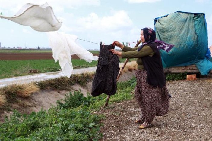 Baba mesleği hayvancılığa devam eden İpek ailesi, yaşamlarını çadırda sürdürüyor -5