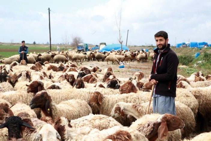 Baba mesleği hayvancılığa devam eden İpek ailesi, yaşamlarını çadırda sürdürüyor -4