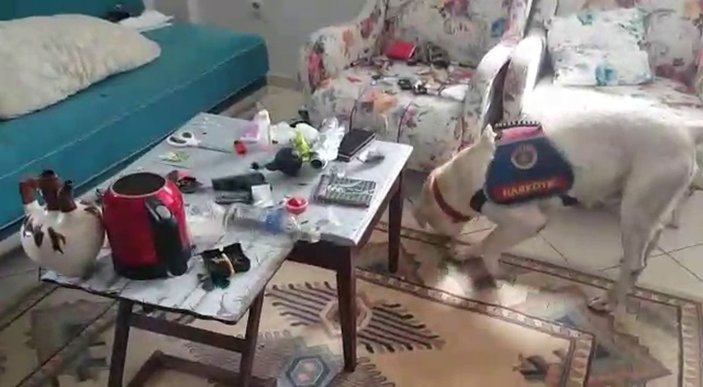 Makyaj çantasına gizlenen uyuşturucuyu narkotik köpeği buldu: 4 gözaltı -2
