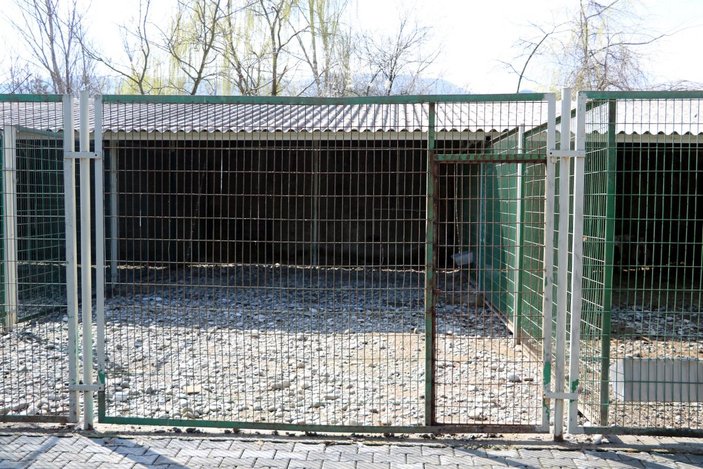 Hayvanat bahçesinden çaldığı alageyiği vuran kişiye 61 bin lira ceza -3