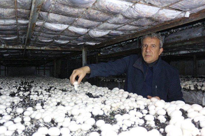 Yeşil sahalarda umduğunu bulamayınca dev mantar tesisi kurdu -5