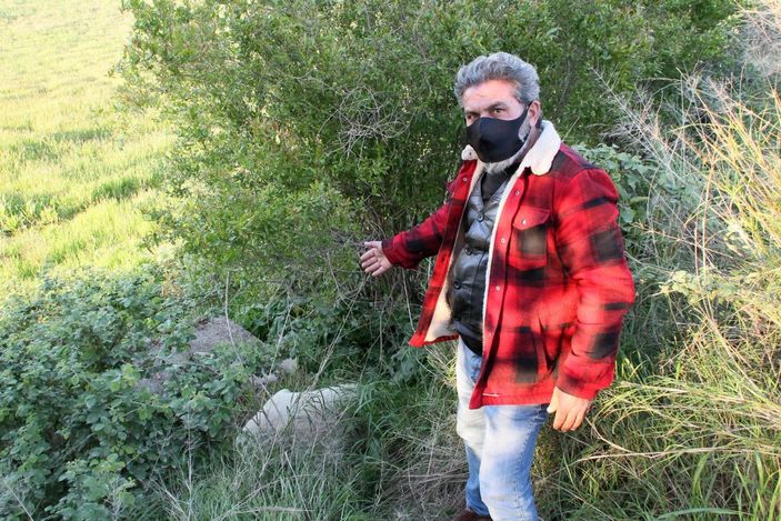 Sokak köpeklerini zehirleyenlerin bulunması için para ödülü koydu -4