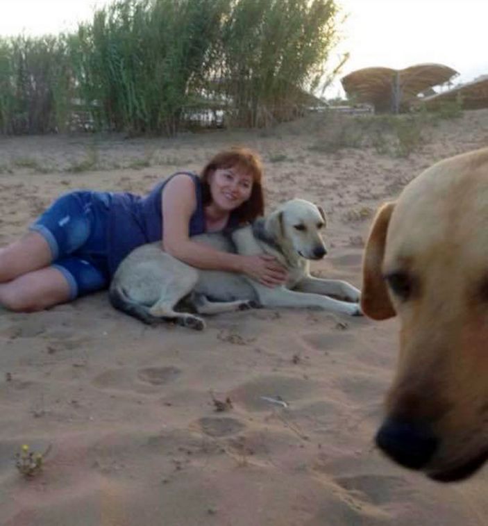 Sokak köpeklerini zehirleyenlerin bulunması için para ödülü koydu -9