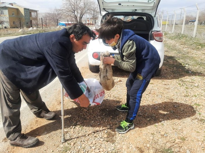 Kulağı ve kuyruğunu kestikleri yavru köpeği ölüme terk ettiler -3