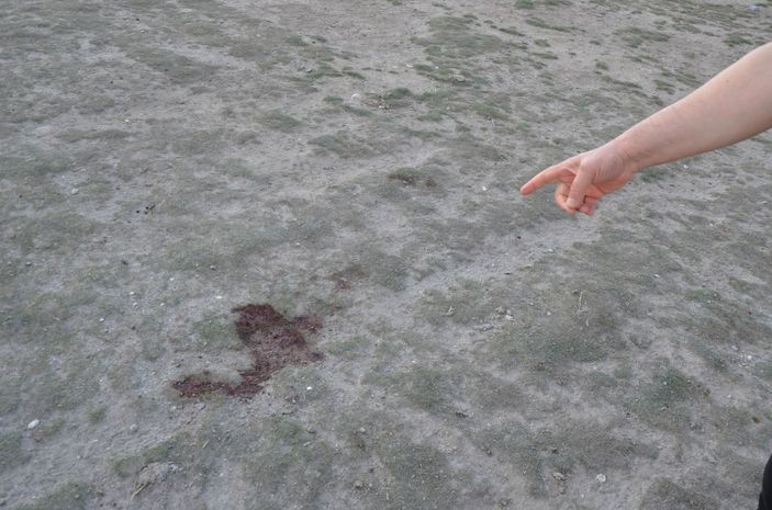 Konya'da yol kenarında ölü bulunan Buket'in 'Vasiyetim olsun' mesajı ortaya çıktı