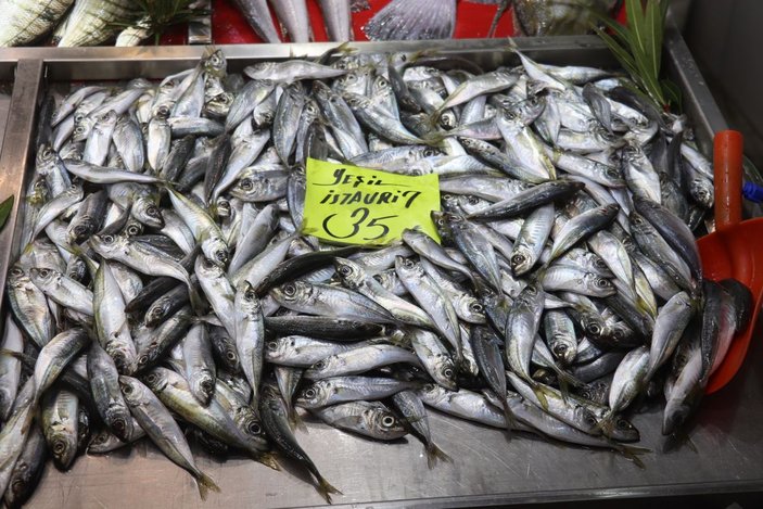 Çanakkale'de etkili olan fırtına balık fiyatlarına olumsuz yansıdı -4