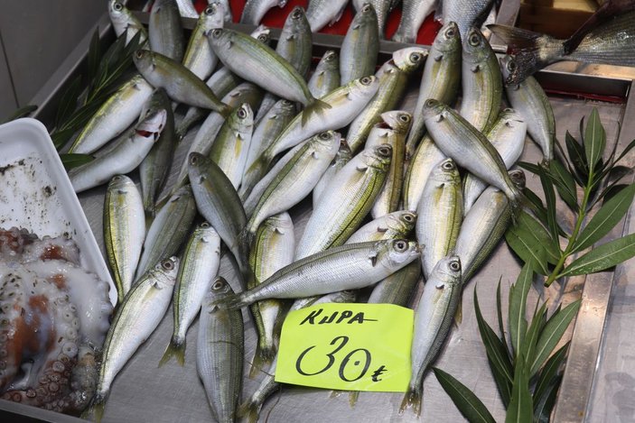 Çanakkale'de etkili olan fırtına balık fiyatlarına olumsuz yansıdı -3