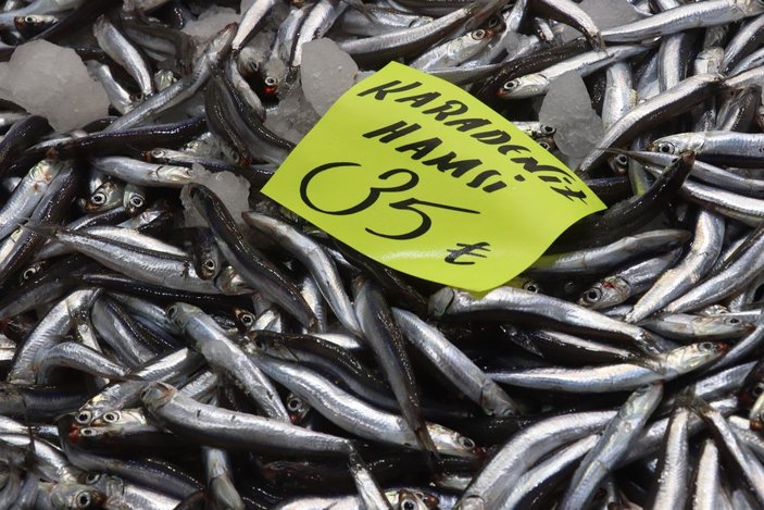 Çanakkale'de etkili olan fırtına balık fiyatlarına olumsuz yansıdı -8