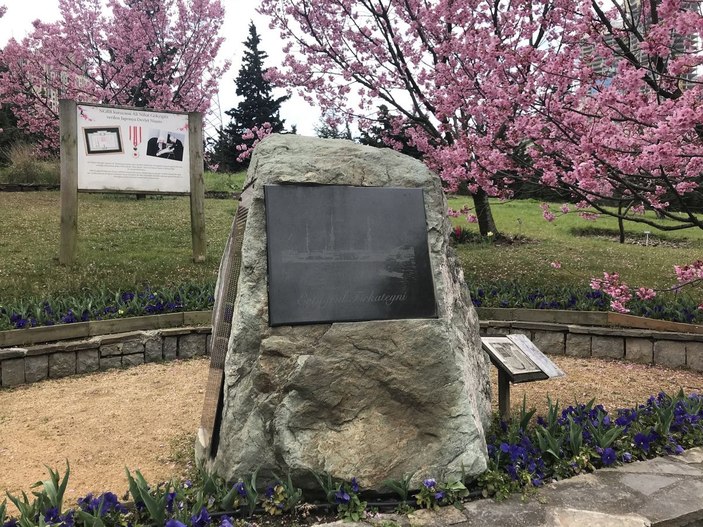 İstanbul'da sakura zamanı  -5