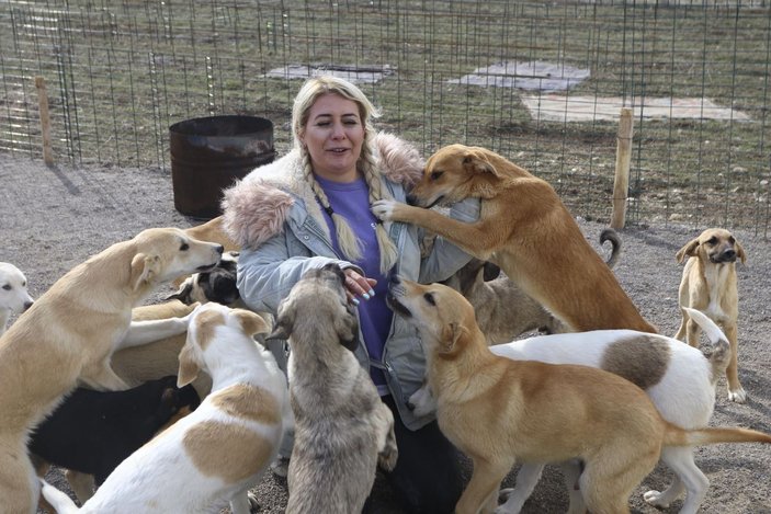 Ankara'da felç geçiren babasından ilham aldı, engelli köpeklere barınak kurdu