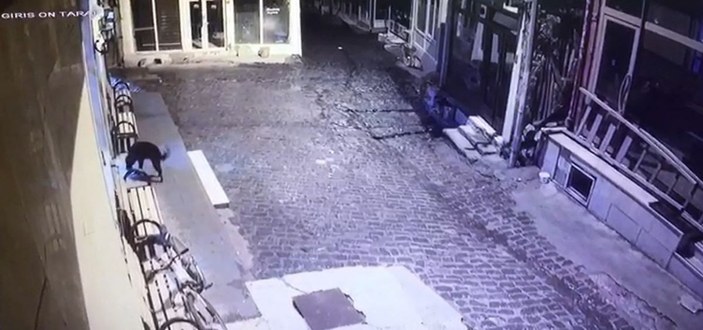 Sivas'ta camiden ayakkabı çalan köpek