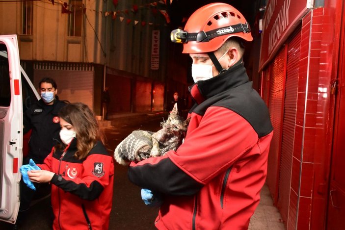 Alevlerin arasına giren kadın ile kurtarmak istediği kedisi yaralandı -9