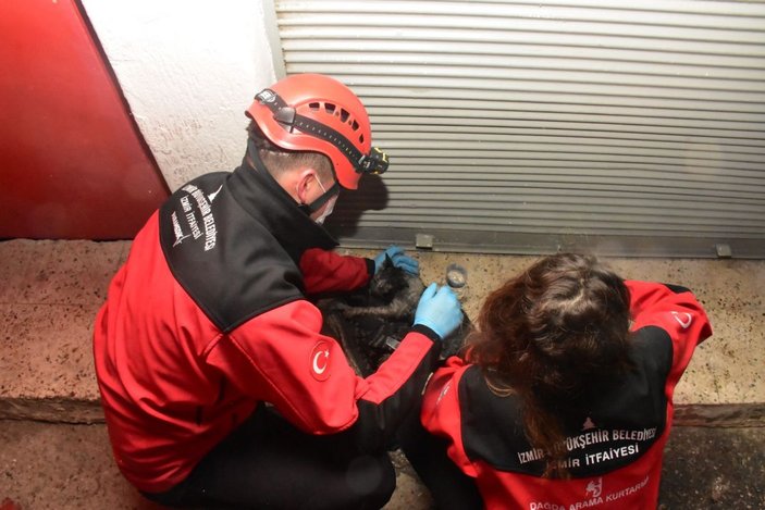 Alevlerin arasına giren kadın ile kurtarmak istediği kedisi yaralandı -1