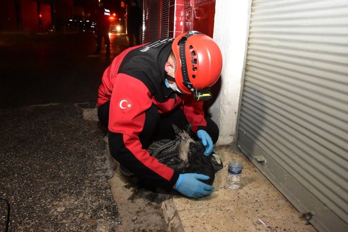 Alevlerin arasına giren kadın ile kurtarmak istediği kedisi yaralandı -7