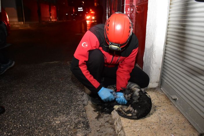 Alevlerin arasına giren kadın ile kurtarmak istediği kedisi yaralandı -5