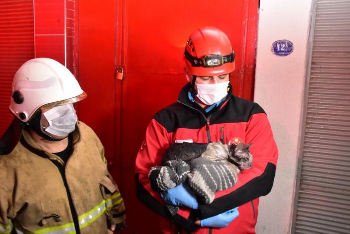 Alevlerin arasına giren kadın ile kurtarmak istediği kedisi yaralandı -10