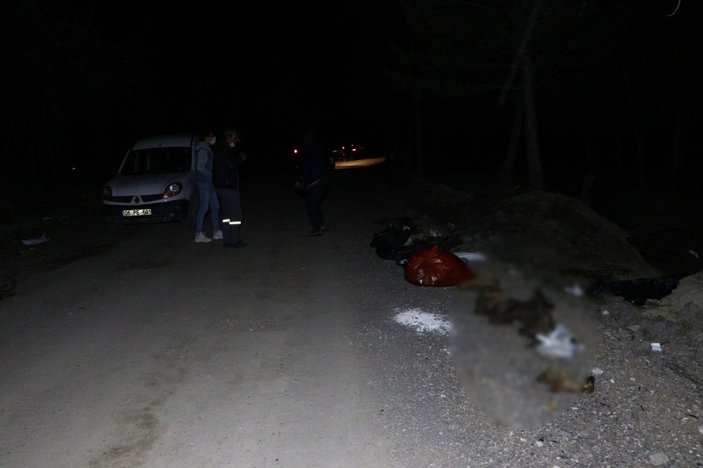 Ankara'da damar yolu açılmış 30 köpek ölüsü bulundu -2