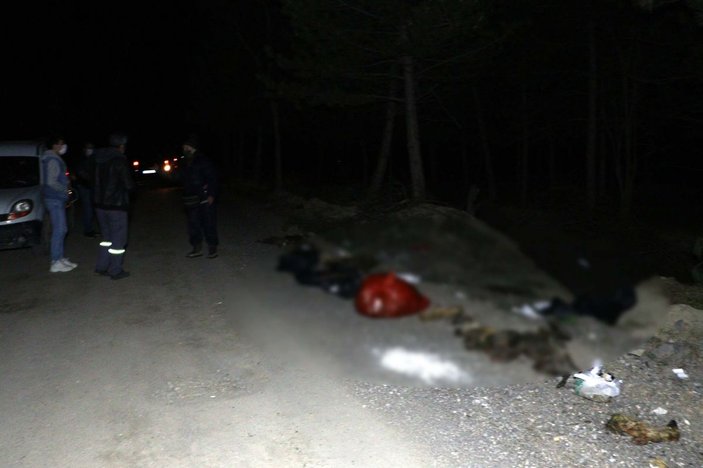 Ankara'da damar yolu açılmış 30 köpek ölüsü bulundu -1