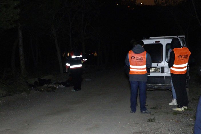 Ankara'da damar yolu açılmış 30 köpek ölüsü bulundu -5