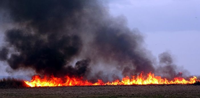 Van'da yanan sazlıktan geriye bu görüntüler kaldı -3