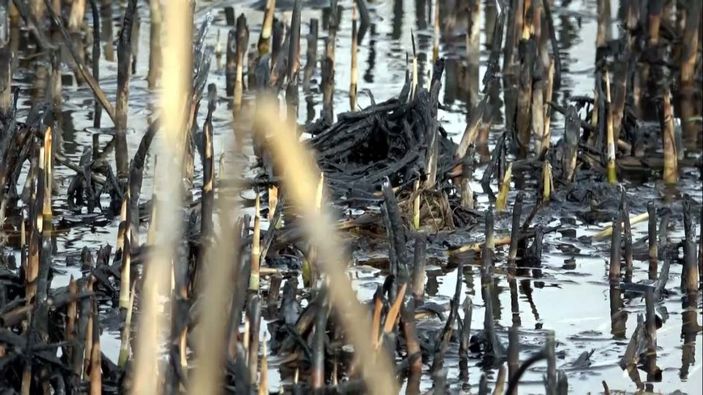 Van'da yanan sazlıktan geriye bu görüntüler kaldı -5