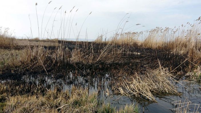 Van'da yanan sazlıktan geriye bu görüntüler kaldı -8