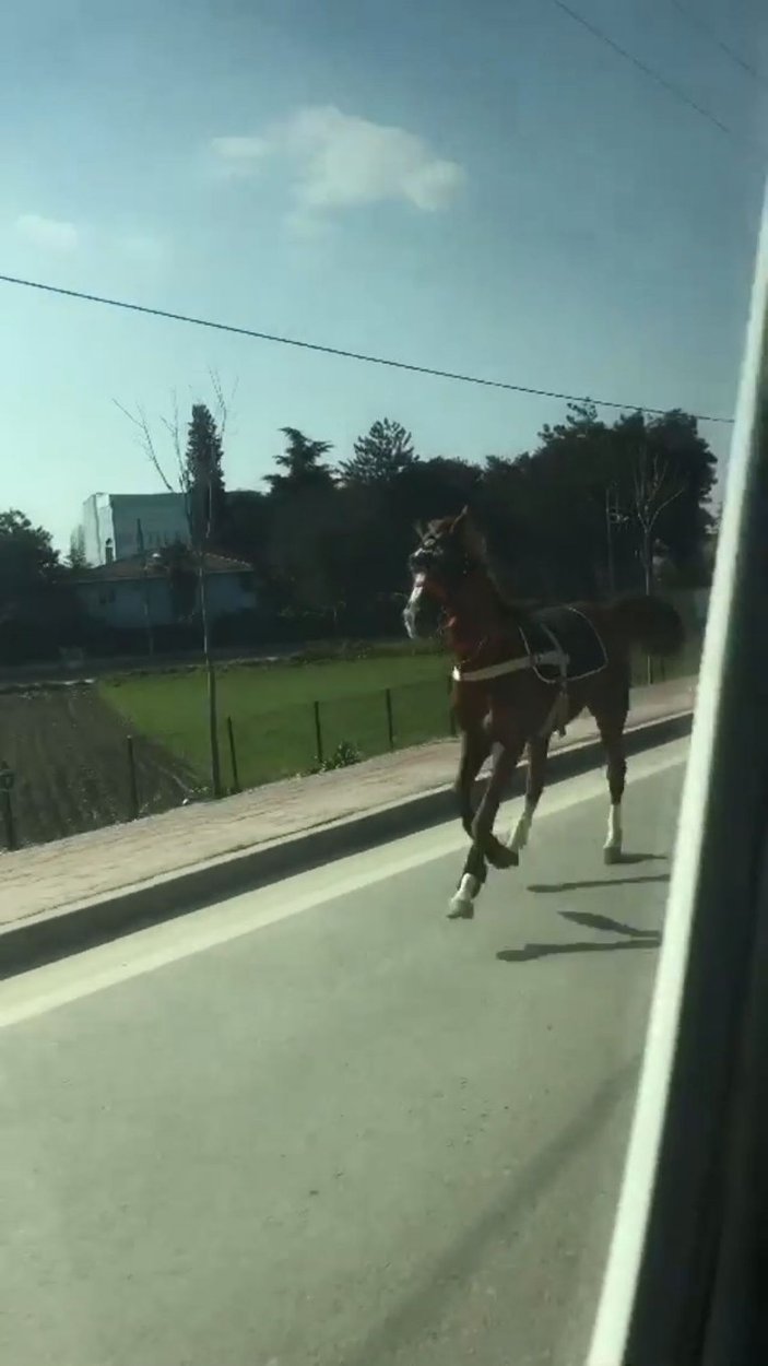 Bursa trafiğinde dört nala koştu -3